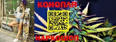 гашик Жуковский