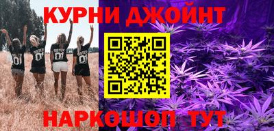 гашик Жуковский