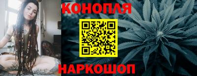 гашик Жуковский